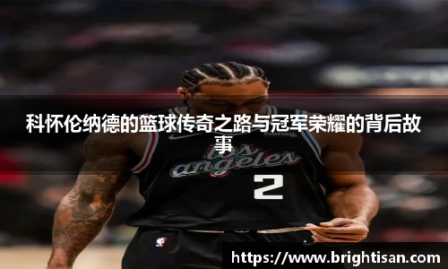 Vsport体育官网版