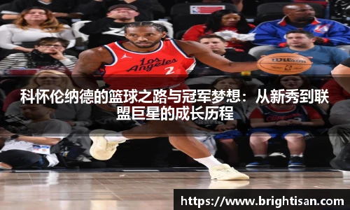 Vsport体育最新地址